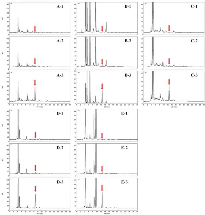 Fig. 1. HPLC chromatograms of extracts from agricultural commodities.