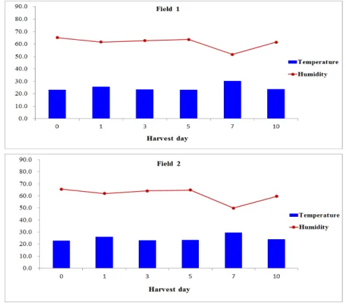 Fig. 1. Changes of temperature and humidity during cultivation of winter-grown cabbage.