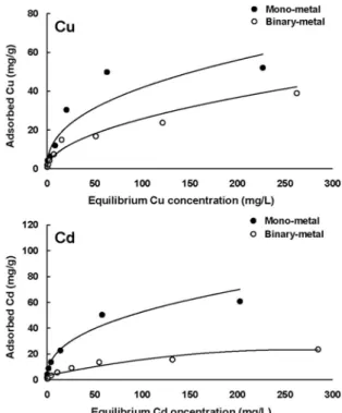 Fig. 2. Mono-metal and binary-metal adsorption isotherms for  the Cu and Cd by biochar derived from  Phragmites  communis  in the batch experiment.