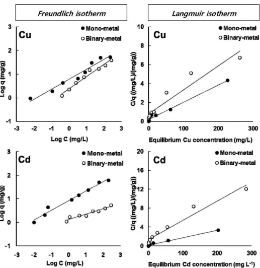 Fig. 3. Freundlich and Langmuir isotherm plots in mono-metal and binary-metal adsorption isotherms for the Cu and Cd by biochar derived from  Phragmites communis  in the batch experiment (C is the concentration of heavy metal in  solution at equilibrium (m
