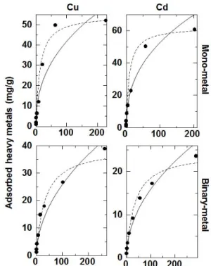 Fig. 4. Maximum metal (Cu and Cd) adsorption capacities in mono-metal and binary-metal adsorption isotherms by  biochar derived from  Phragmites communis  in the batch  experiment.