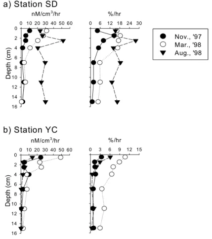 Fig. 4. Vertical distribution of aminopeptidase activity and hydrolysis rate of aminopeptide compounds Fig