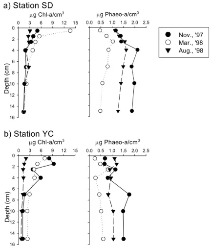 Fig. 2. Depth profiles of chlorophyll-a and phaeopigment-a at the SD (mud flat)Fig. 2
