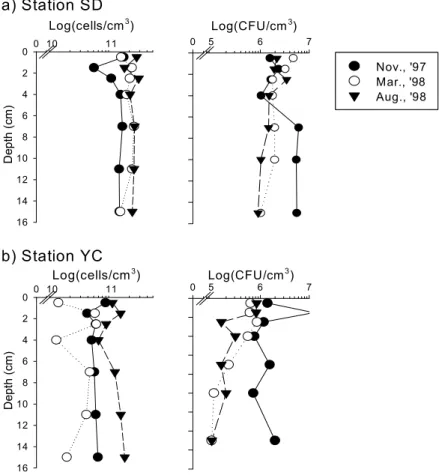 Fig. 3. Vertical distribution of total bacterial number and cultured bacterial number Fig