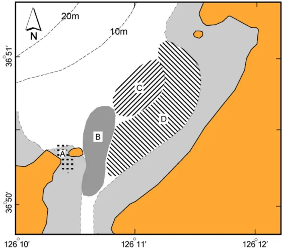 Fig. 5. Zones of the stational groups based on the cluster analysis.