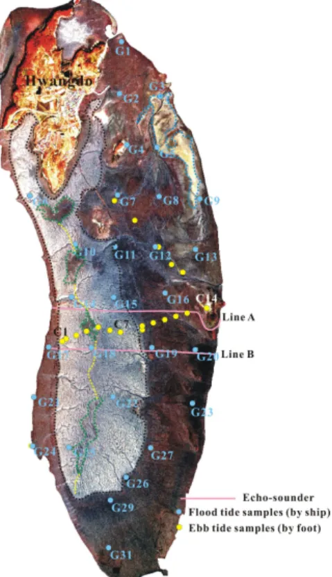 Fig. 2. The IKONOS RGB (432 bands) composite image of the Hwangdo tidal flat. The sky blueFig