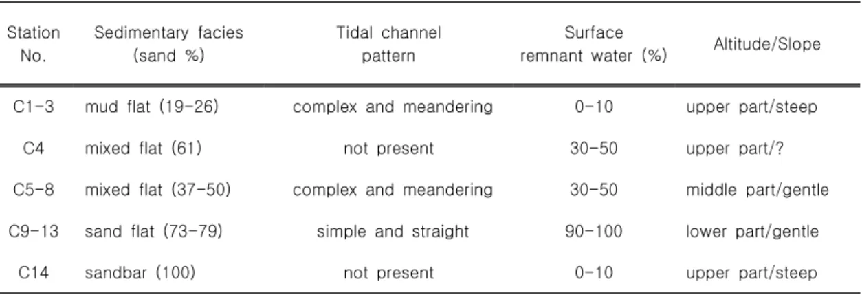 Table 3. Summary of sedimentary environments at ebb sampling sites.