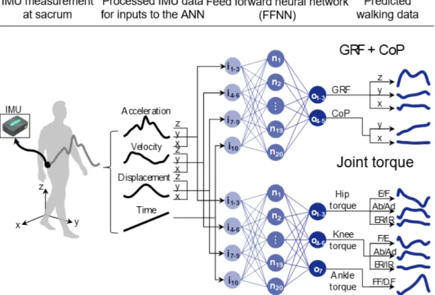 Figure 1. Schematics of the estimation procedures of lower limb kinetics data with a single inertial measurement unit (IMU) using an artificial neural network (ANN)