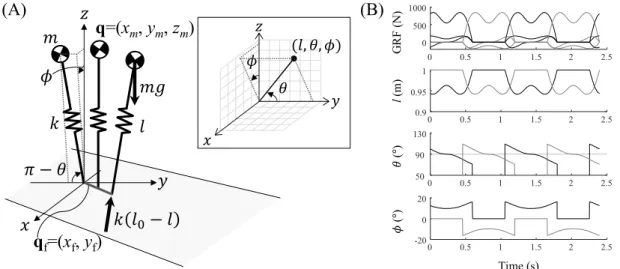 Figure 2. 3D compliant walking model with a point foot control. (A) Model parameters and state parameters of the model and spherical coordinates with the y-axis as the zenith (in the inlet)