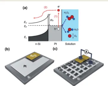 Fig. S2 in the ESI† shows the liquid–solid catalytic reactor for measuring chemicurrent and the O 2 evolution rates during the