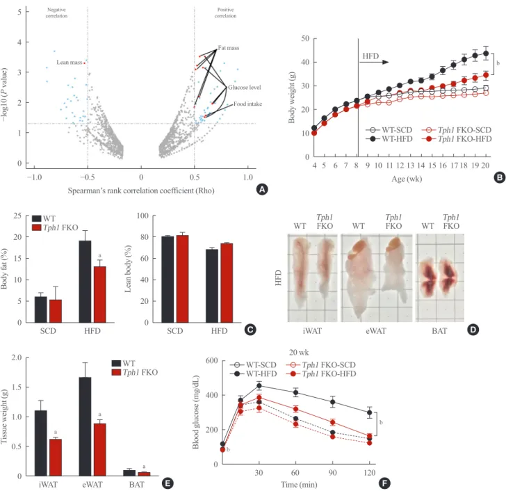 Fig. 1.  Tryptophan hydroxylase 1 (Tph1) knockout (FKO) protects against high-fat diet (HFD)-induced obesity