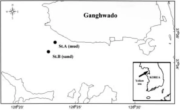 Fig. 1. A  map  showing  the  study  area  and  sampling  stations  for  meiobenthos  in₩Yeochari, Ganghwado tidal flat