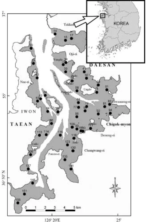 Fig. 1. Map  showing  the  sampling  stations  on  the  Garolim  tidal  flat,  Korea.  The  stations  were surveyed in August 2002