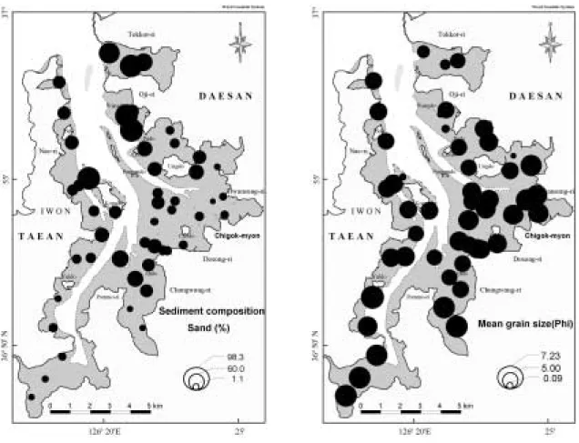 Fig. 2. Distribution  of  the  surface  sediment  on  Garolim  Bay  tidal  flats  in  August  2002.(left  : sand content(%), right : mean grain size(φ))