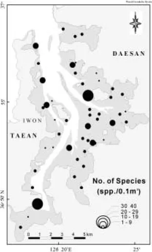 Table 1. Total  numer  of  species,  mean  density  and  mean  biomass  for  the  major  taxonomic groups when the data was combined over all the stations during the sampling period