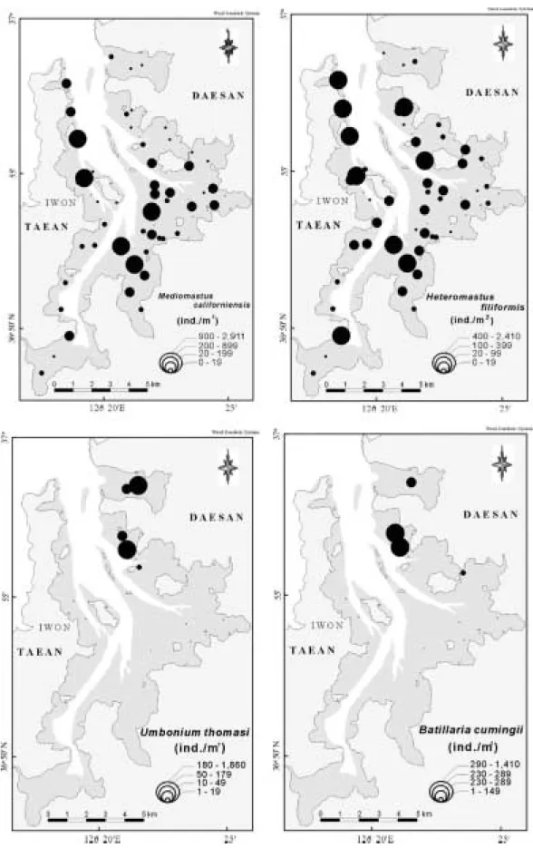 Fig 6. Distribution of the mean density for eight dominant species on the study sites.