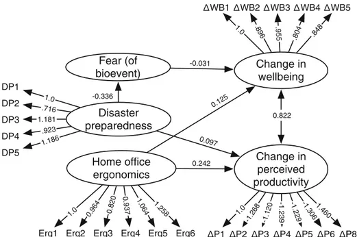Fig. 5 Supported model of developer wellbeing and productivity. Note: error terms, unsupported hypotheses and control variables are omitted for clarity