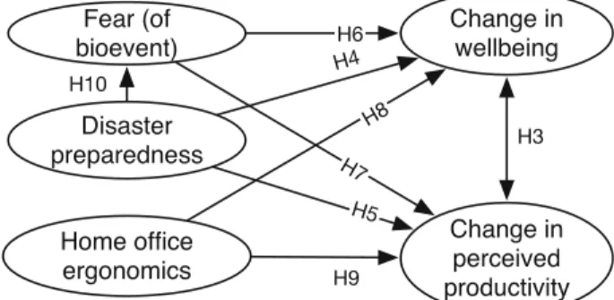 Fig. 1 Theoretical model of developer wellbeing and productivity