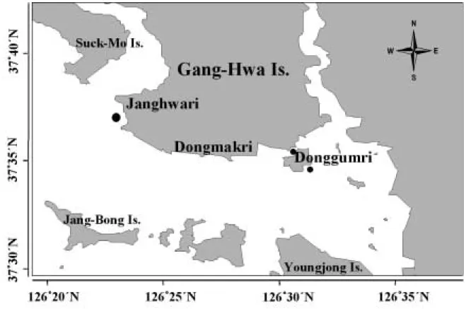 Fig. 2. Location map of the sampling site in Ganghwa intertidal flat.