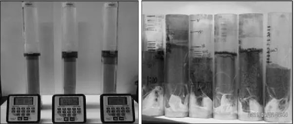 Table 2. Physical and chemical characteristics of soil samples used in this experiment