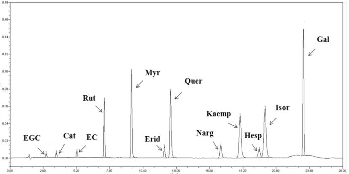 Fig. 1. Ultra Performance Liquid Chromatography (UPLC) UPLC chromatogram standards of flavanols, flavonols and  flavanones