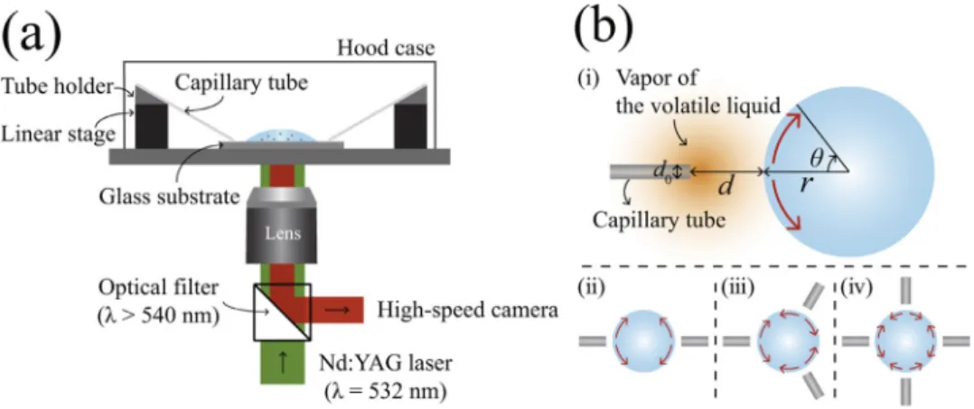 Fig.  2. (a) Schematic of the experimental setup for particle image velocimetry (PIV)
