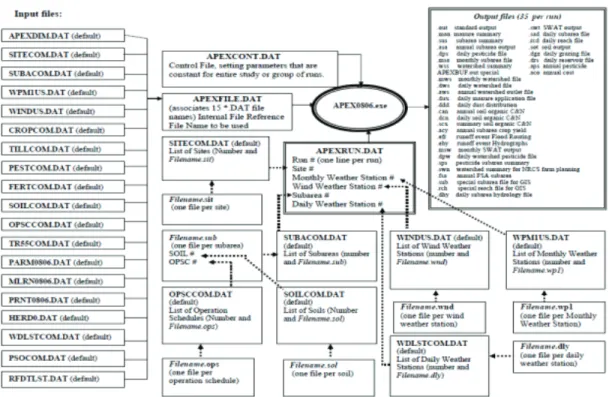 Fig. 1 APEX model structure (Steglich &amp; Williams, 2013)