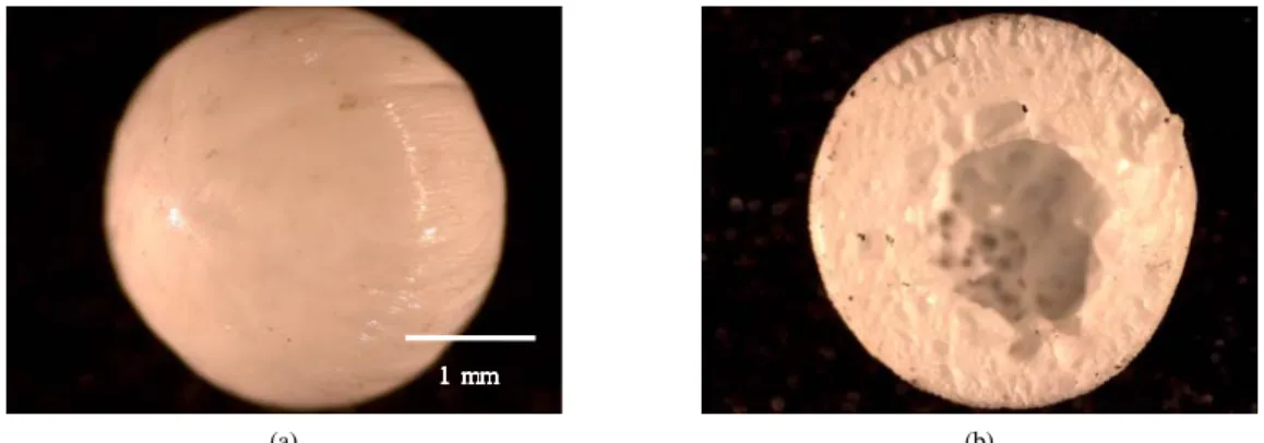 Fig. 1. Microscope images of the (a) entire PS-D2EHPA bead and (b) cross-section of PS-D2EHPA bead.