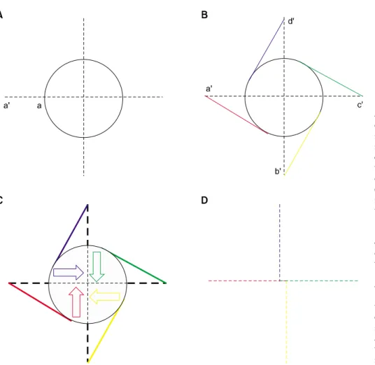 Fig. 1. (A) Draw imaginary vertical 