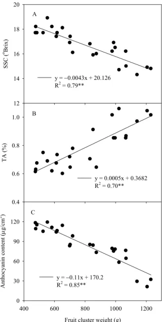 Fig. 3. Relationship of fruit cluster weight with soluble  solids content (SSC) (A), titratable acidity (TA) (B), or  anthocyanin content (C) in ‘Pione’ grapevine during  cultivation with heating.
