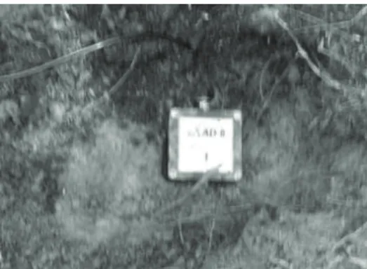 Table 3 Distance between blasting point and measuring point