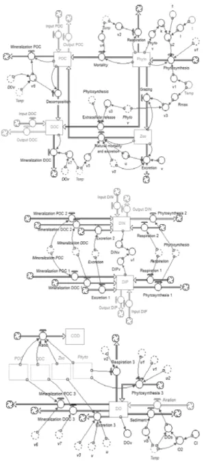 Fig. 1 presents a model written by using numerical  modeling program. The cycles of carbon, nitrogen  and phosphorus and the connection of phytoplanktons  and dissolved oxygen in the ecological model are  presented.