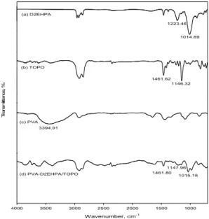 Fig. 4. Effect of initial concentrations on the removal of copper  ions by PVA-D2EHPA/TOPO beads (PVA-D2EHPA/ 