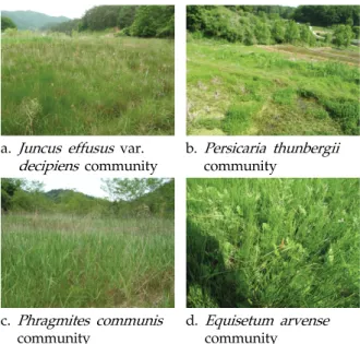 Fig. 3. Plant communities of abandoned paddy fields in  the middle stage.