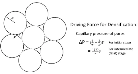 Figure  1.  Idealized  geometry  of  a  powder  compact  to  illustrate  capillary  pressure,  ΔP,  for  densification in sintering models [2] (reprinted with permission from Wiley)