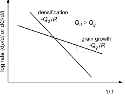 Figure 5. Temperature dependence of densification and grain growth rate for a material in which the 