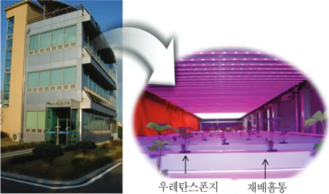 Fig. 1. Outside and inside view of vertical type plant  factory  system. 농촌진흥청  수평형  식물공장은  2단  재배베드로  구성되 어  있으며(8.4×3.0×2.1 m), 담액수경  시스템(Deep Flow  Technique)을  채용하고  있다