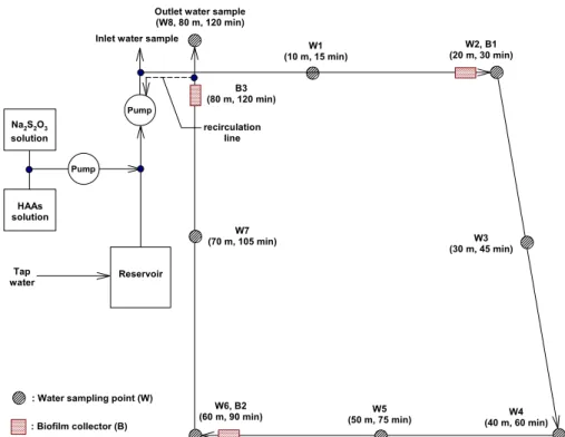 Fig. 1. Schematic diagram of pilot water distribution system.