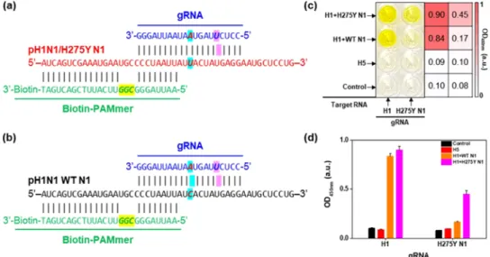 Figure 3 a) but mismatched those of pH1N1 wild-type (WT)