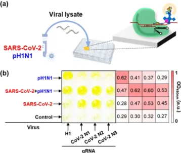 Figure 4. (a) Schematic illustration of SARS-CoV-2 and pH1N1 detection based on CRISPR/dCas9