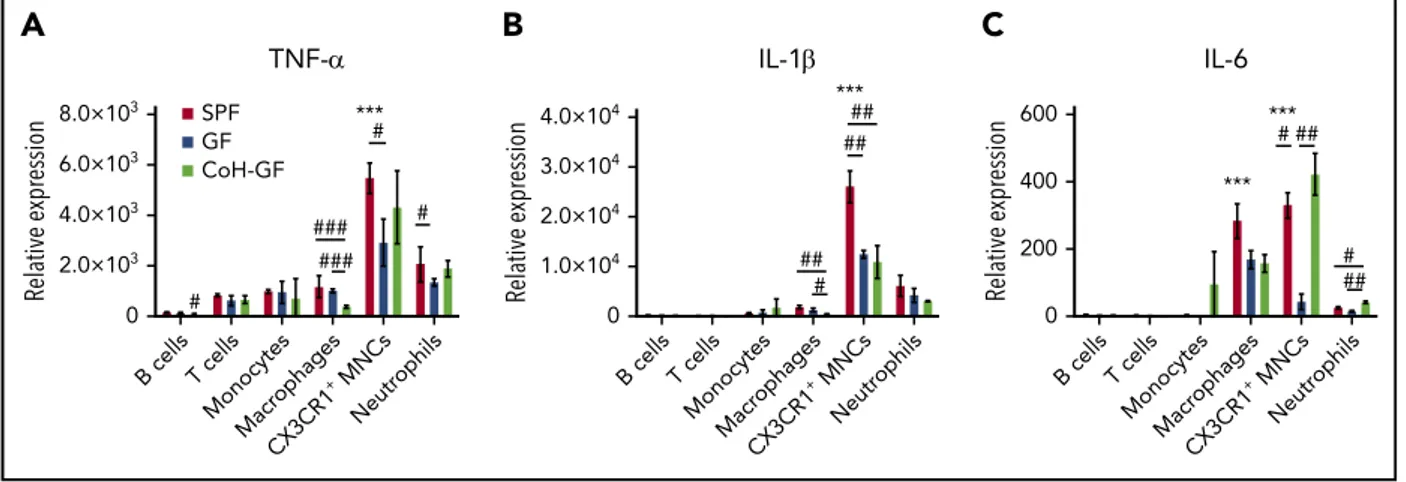 Figure 4. CX3CR1 1 MNCs are primary producers for inﬂammatory cytokines. Reverse-transcription quantitative polymerase chain reaction analysis of mRNA levels