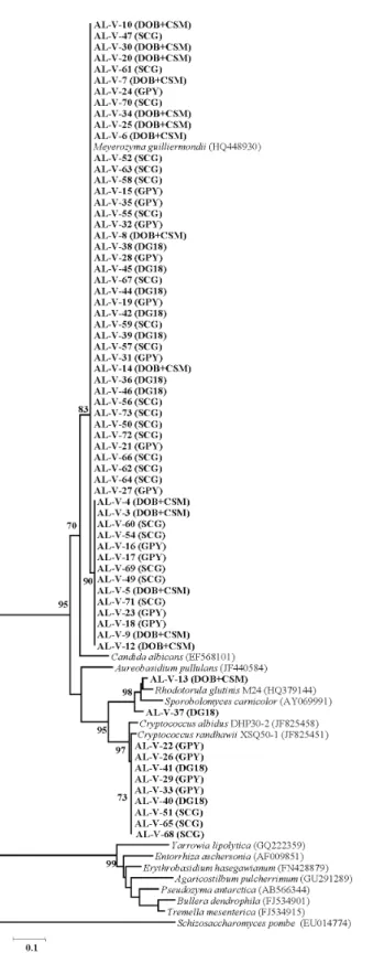 Fig. 2. Molecular phylogenetic tree constructed by neighbor‐joining  method using the sequences of representative yeast isolates from  Aloe saponaria  and related yeast