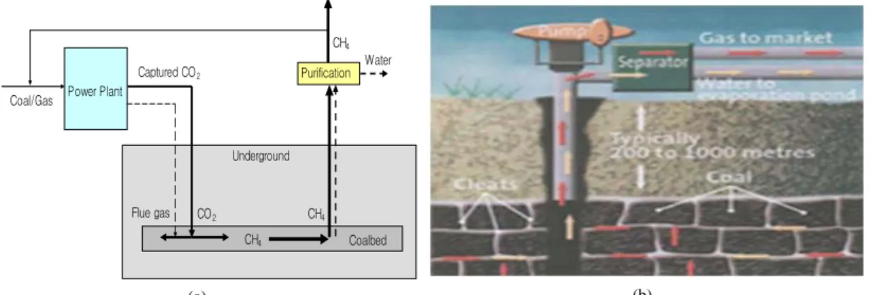 Fig. 1. Schematic diagram  of CH4 and CSG water recovery(a: schematic, b: field).
