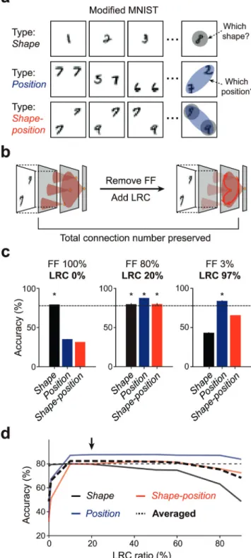 Fig. 3. Long-range connections integrate global features. (a) Three types of