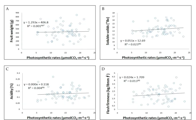 Fig. 1. Correlatioin between  photosynthesis rates and fruit characteristics.