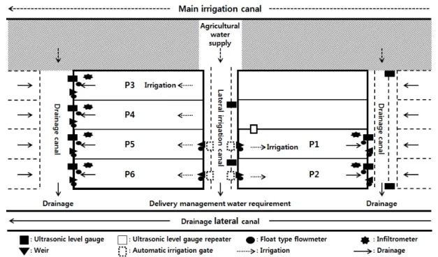 Fig. 1 Design of the hydrologic network (P1&amp;P2: control fields, P3&amp;P4: water management A fields, P5&amp;P6: water management B fields)
