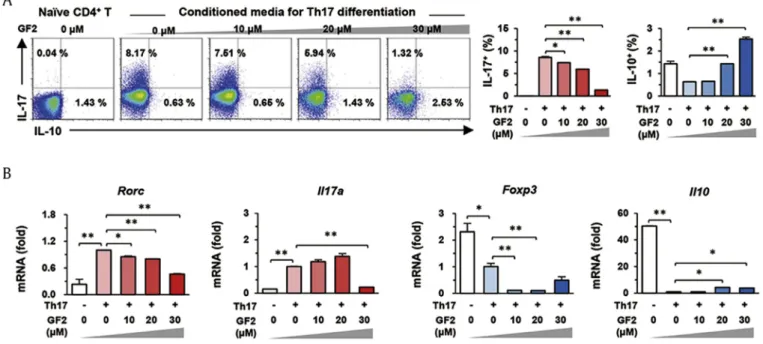 Fig. 6. GF2 inhibits Th17 differentiation of naïve CD4 D T cells. Splenic naïve CD4 þ T cells were isolated and then they were differentiated using Th17 differentiation media for 5 d in the presence of diverse doses of GF2 (0e30 m M)