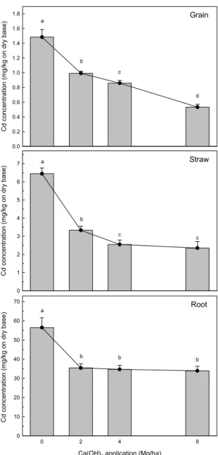Fig.  3.  Response  of  Cd  concentration  in  rice  plant  cultivated in soil amended with different rates of  Ca(OH) 2  at field condition (Plant samples were  collected at harvest time