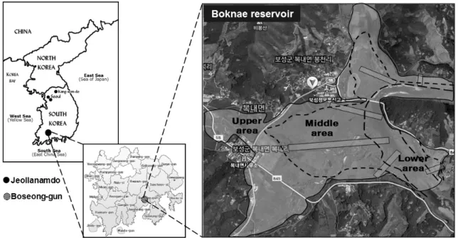 Fig. 1. Geographical description of Boknae reservoir located within Juam lake.서   론우리나라의  다목적댐은  산업화와  도시화에  따른  물부족 현상을 해결하기 위하여 주암호,  동복호 및 대청호 등과 같은 인공호수를  만들었다(Jeong et al., 2011)