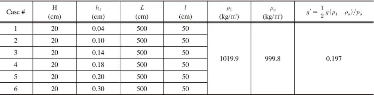 Fig. 4. Sketch of IDC into a two-layer fluid. Initial conditions were set up to correspond to the experiment of Britter and  Simpson (1981).